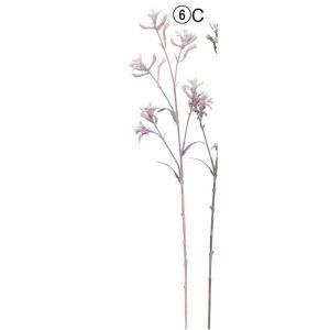 ASCA アスカ カンガルーポー A-34827-006 C 入数 24