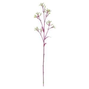 ASCA アスカ カンガルーポー A-34826-007 G 入数 24