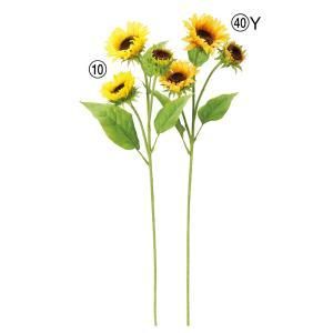 ASCA アスカ サンフラワーX 3 A-34823-040 Y 入数 12