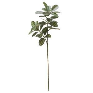 ASCA アスカ リーフスプレー A-44421-051 A 入数 24