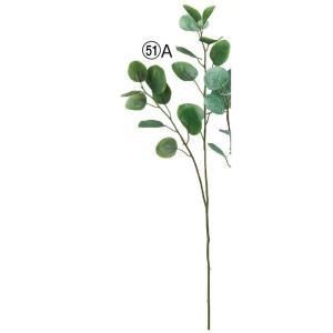 ASCA アスカ ユーカリ A-44418-051 A 入数 24