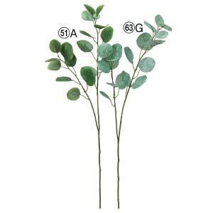 ASCA アスカ ユーカリ A-44418-063 G 入数 24