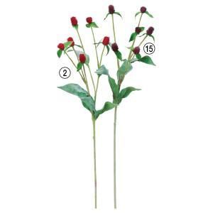 ASCA アスカ センニチコウX 6 A-34817-015 入数 24