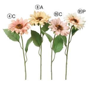 ASCA アスカ サンフラワー A-34809-091 P 入数 24