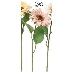 ASCA アスカ サンフラワー A-34809-055 C 入数 24