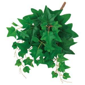 ASCA アスカ アイビーブッシュ A-44407-051 A 入数 12