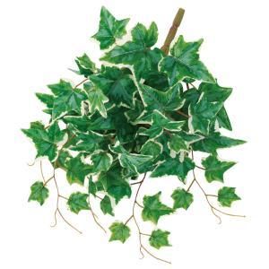 ASCA アスカ アイビーブッシュ A-44406-051 V 入数 12