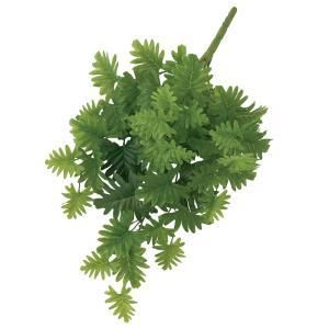 ASCA アスカ フィロブッシュ A-44403-051 A 入数 12