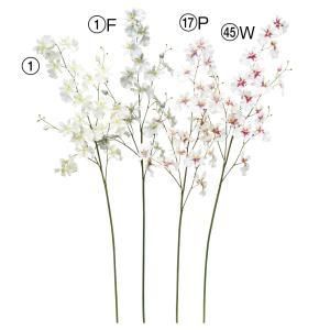 ASCA アスカ オンシジューム×19 つぼみ×3 A-73418-045 W 入数 12