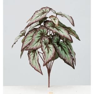 ASCA アスカ ベゴニアブッシュ A-44258-053 P 入数 12