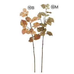 ASCA アスカ リーフスプレー A-44299-053 M 入数 24