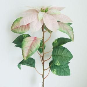 ASCA アスカ ポインセチア AX 60397-003 S 入数 12