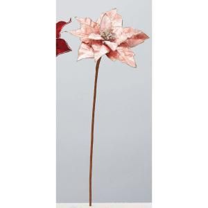 ASCA アスカ ポインセチア AX 60338-003 入数 12