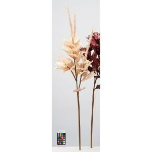 ASCA アスカ コリウス AX 60336-003 K 入数 8