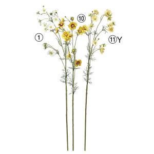 ASCA アスカ ワイルドコスモス×12 つぼみ×3 A-34644-011 Y 入数 24