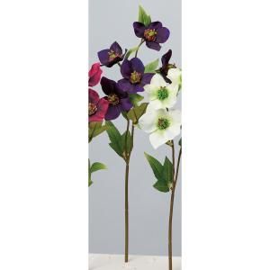 ASCA アスカ ローズX 5 A-34642-035 E 入数 24