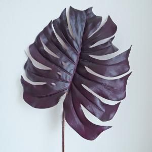 ASCA アスカ モンステラ A-44259-007 D 入数 12