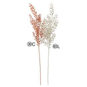 ASCA アスカ ラスカス A-44255-063 L 入数 12