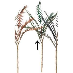 ASCA アスカ グレビ ピック A-44248-051 D 入数 24