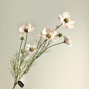 ASCA アスカ コスモス×5 つぼみ×3 A-34634-003 C 入数 12