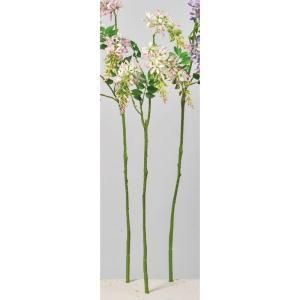 ASCA アスカ ウィステリア ナツフジ ×4 A-34491-003 T 入数 24