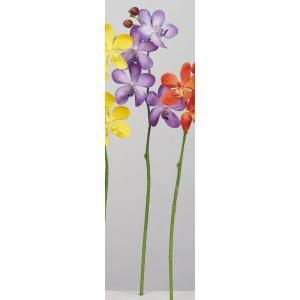 ASCA アスカ モカラX 4 つぼみX 2 A-34618-017 入数 24