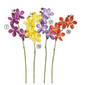 ASCA アスカ モカラX 4 つぼみX 2 A-34618-030 入数 24