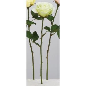 ASCA アスカ ローズ A-34616-052 入数 24