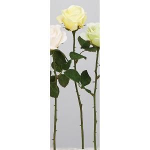 ASCA アスカ ローズ A-34616-020 入数 24