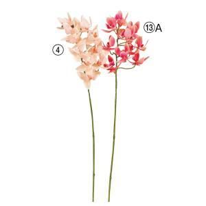 ASCA アスカ ミニオーキッドX 11 A-34612-013 A 入数 24