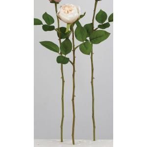 ASCA アスカ ローズ A-34609-008 A 入数 24