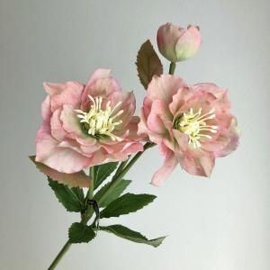 ASCA アスカ ローズX 3 A-34587-004 G 入数 24