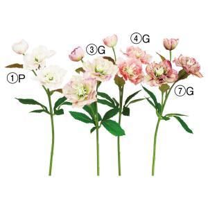 ASCA アスカ ローズX 3 A-34587-007 G 入数 24