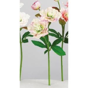 ASCA アスカ ローズX 3 A-34587-003 G 入数 24