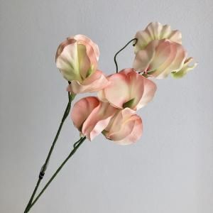 ASCA アスカ スイトピーX 8 A-34585-004 入数 24