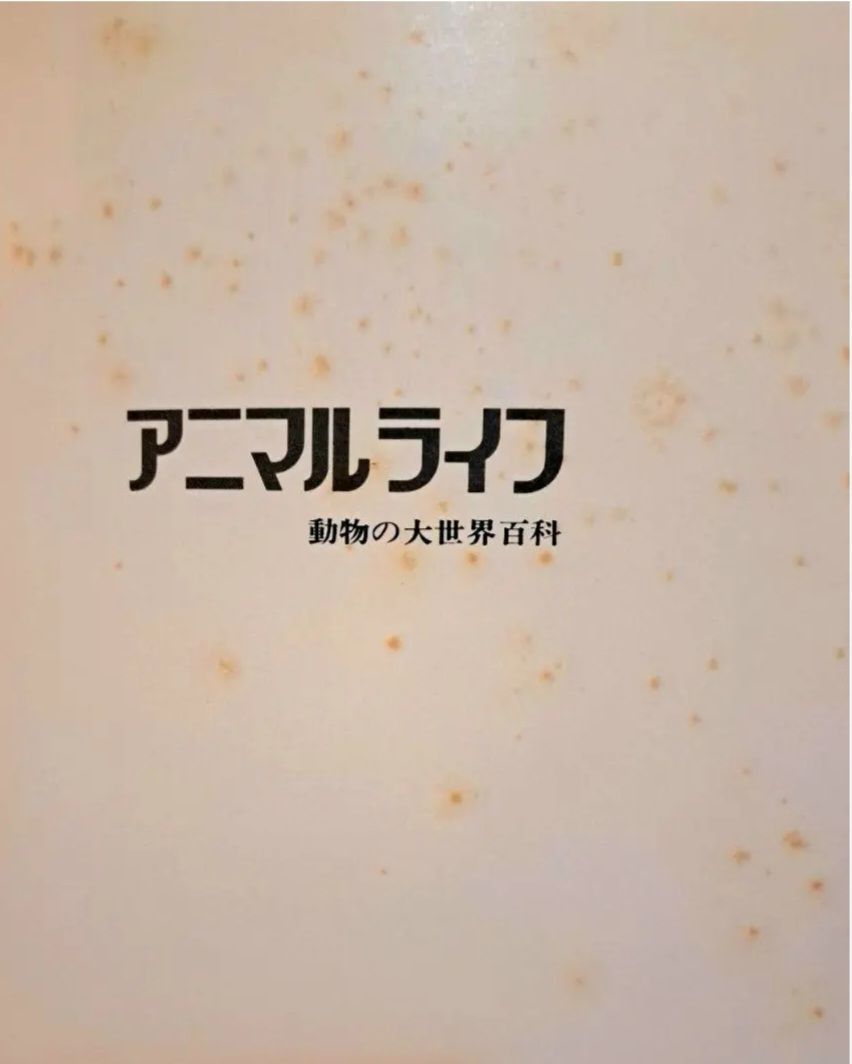 アニマルライフ～動物の大世界百科 1～10巻 動物図鑑 全巻の内前半