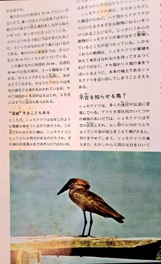 アニマルライフ～動物の大世界百科 1～10巻 動物図鑑 全巻の内前半