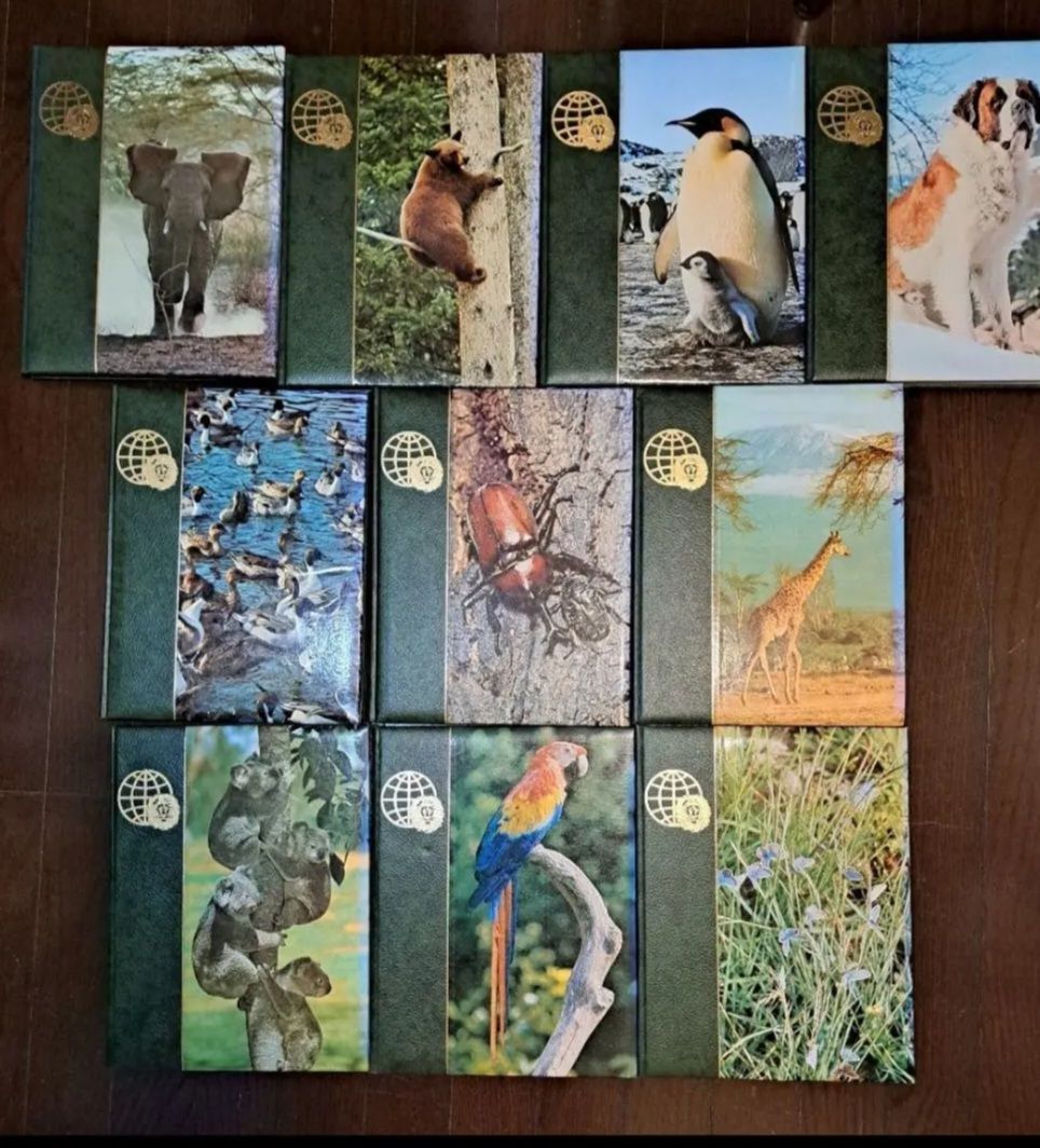 アニマルライフ～動物の大世界百科 1～10巻 動物図鑑 全巻の内前半