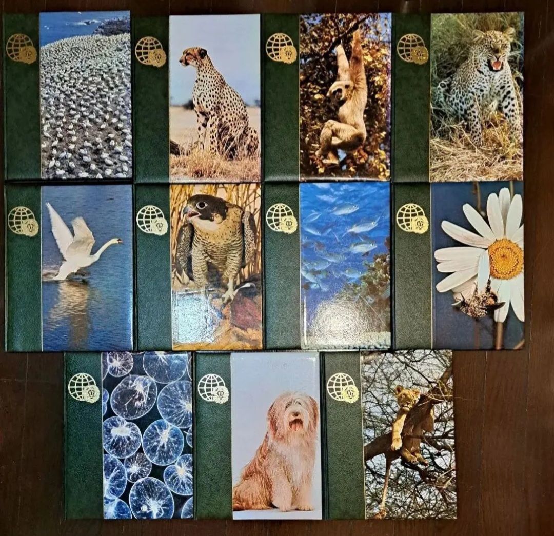 アニマルライフ 動物の大世界百科 11巻～20巻 追補 索引 アニマル