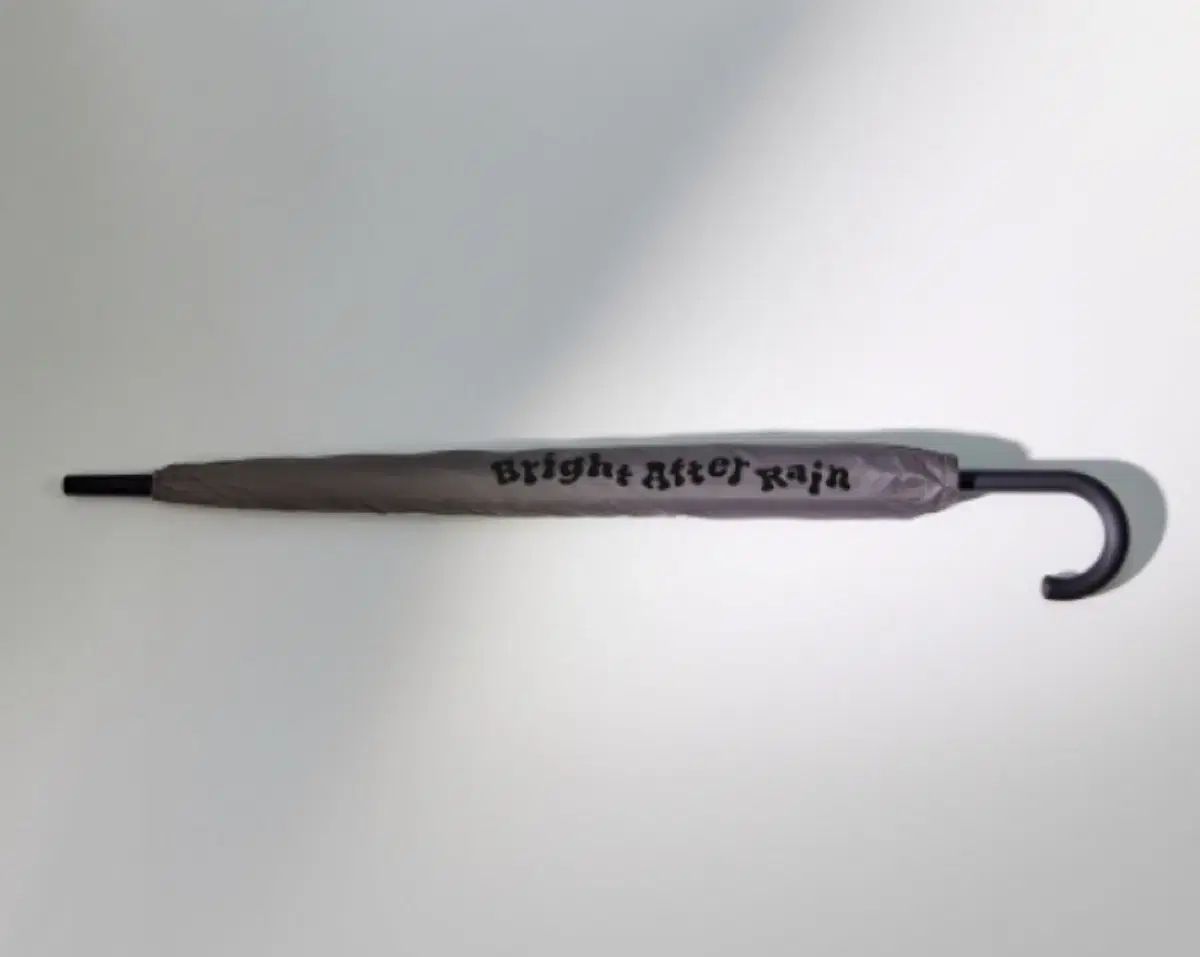  SEVENTEEN エスクプス Artist メイド 傘 その他 タレントグッズ