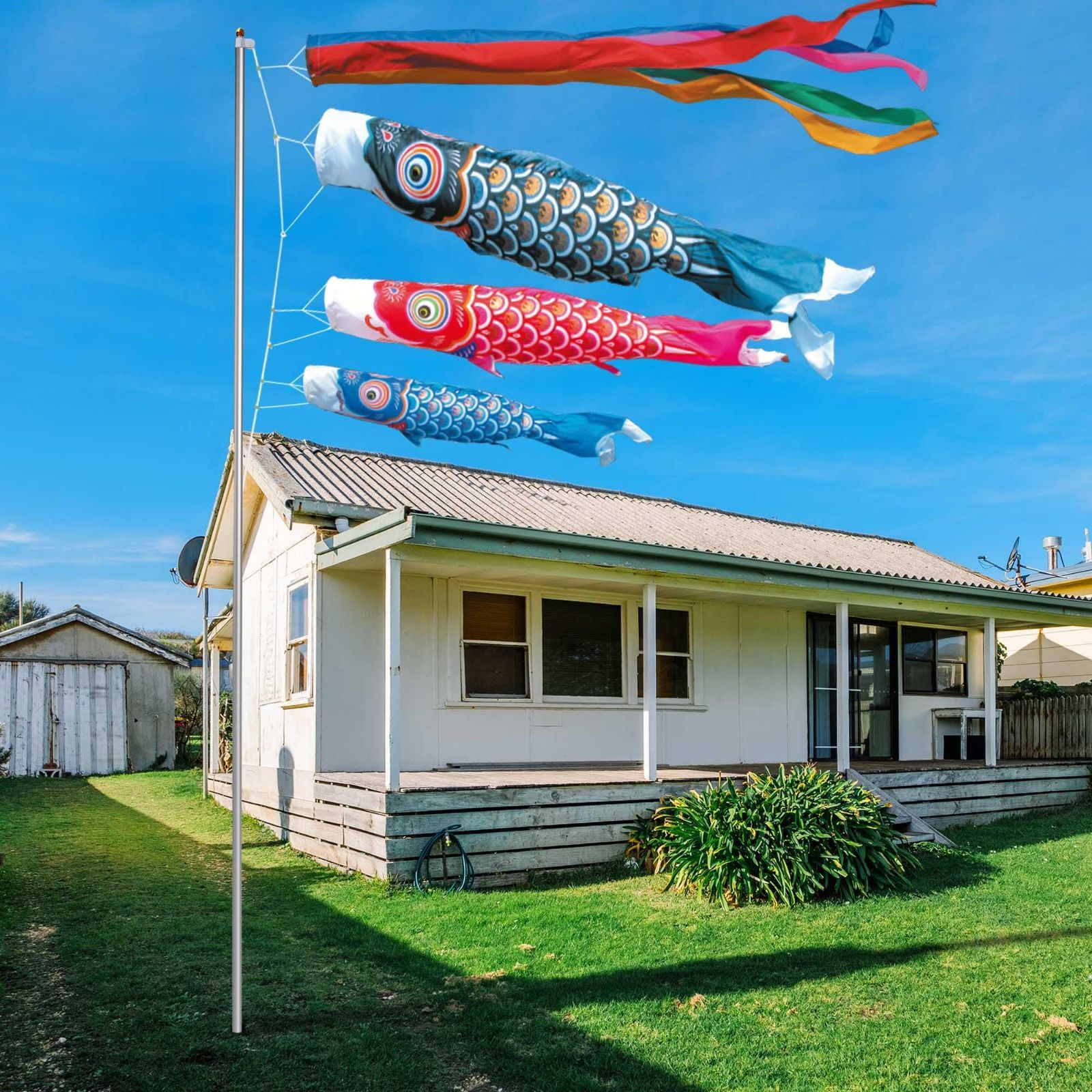 男の子 鯉のぼり