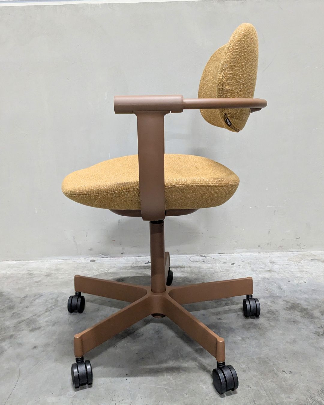 Bランク vertebra03