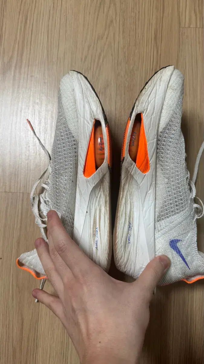 アルファフライ3