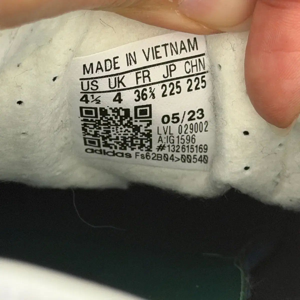 ガゼル インドア