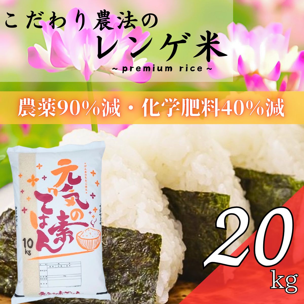 令和7年 熊本県産ヒノヒカリ(白米) 熊本県産 ひのひかり 5kgx4(20kg