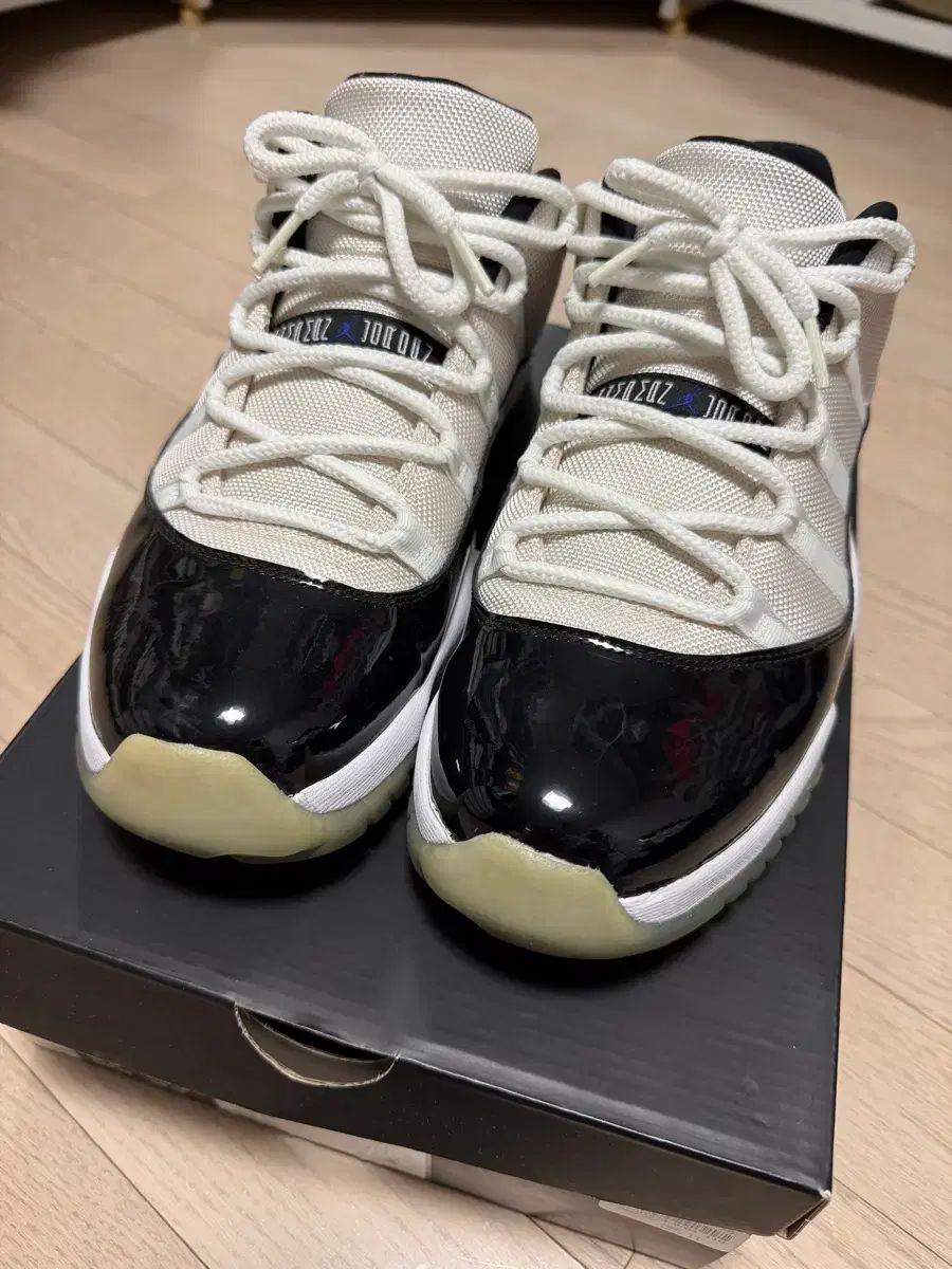 290 528895-153 ジョーダン 11 レトロ ロー コンコルド