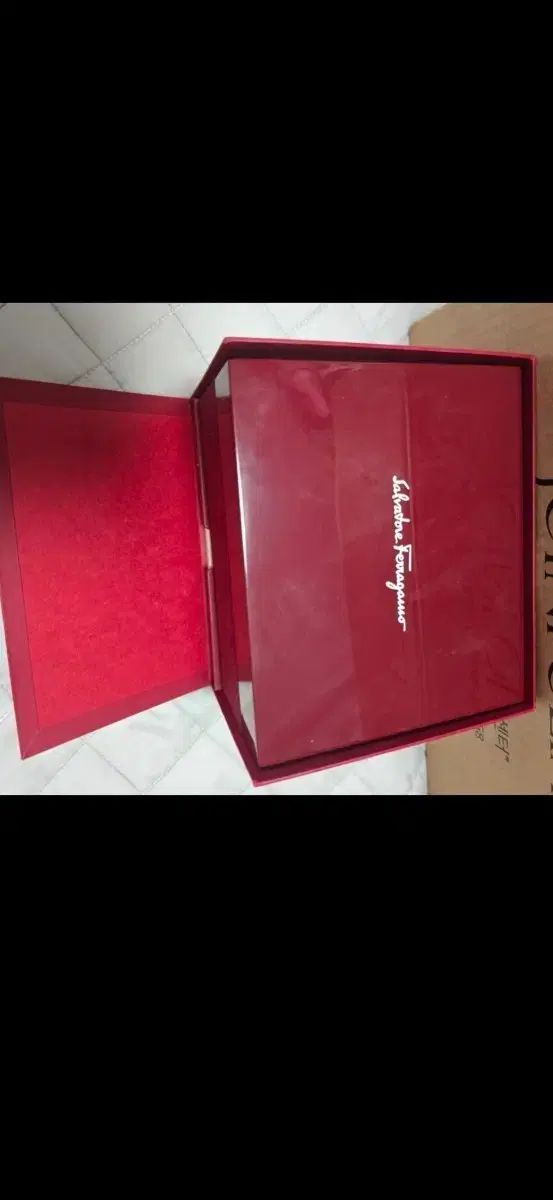 サルヴァトーレ フェラガモ バリナ 26 mm