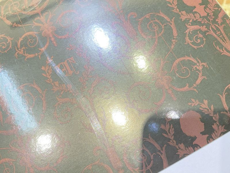  530ｍ 品 テヤン BUCK TICK 今井寿 コラボ T 275 魅世物小屋が暮れてから SHOW AFTER DARK 人形 ドール その他 ミュージシャン