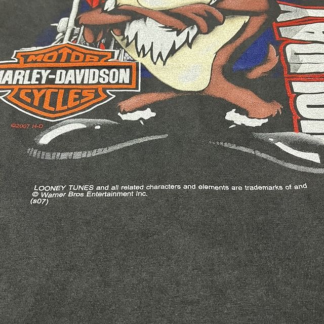 ハーレーダビッドソン×ルーニーテューンズ　コラボ　XL Harley-Davidson Looney Tunes / ハーレーダビッドソン ルーニー