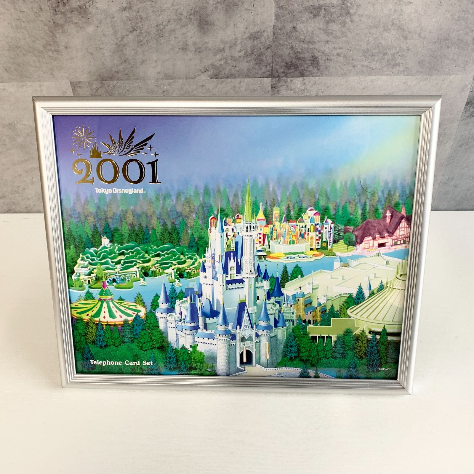 東京ディズニーランド 2001年 パーク風景 イラスト 額縁 テレカなし